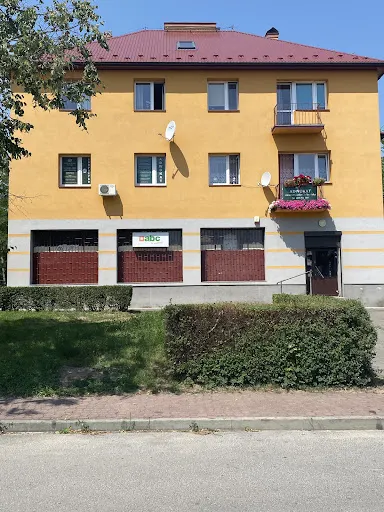 Kancelaria Adwokacka Adwokat Anna Orłowska-Cholewińska